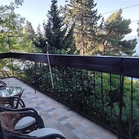 סוטומורה Apartment Botanicheskiy Sad מראה חיצוני תמונה