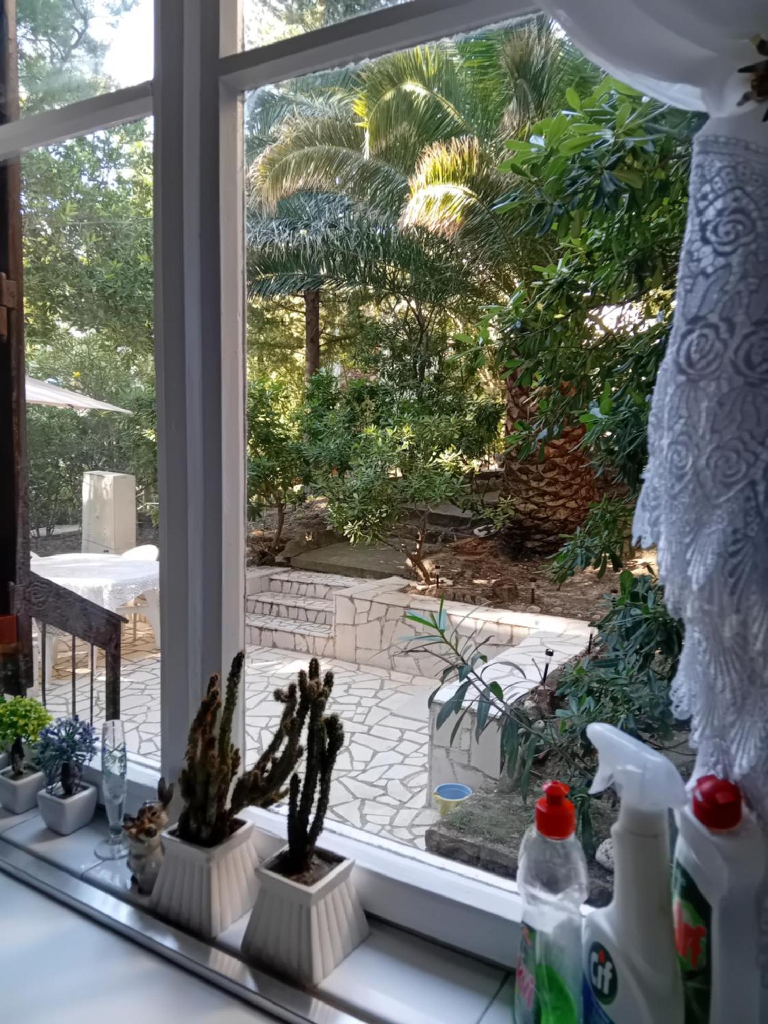 סוטומורה Apartment Botanicheskiy Sad מראה חיצוני תמונה